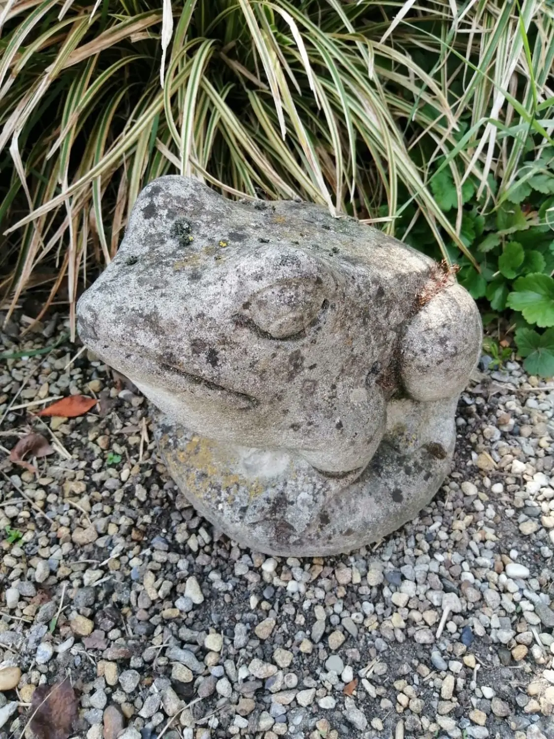 Artikelbild 1 des Artikels “Frosch, ca. 23cm. Steinguss “